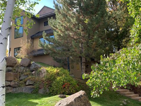 207 Wild Spring Lane Basalt CO 81621
