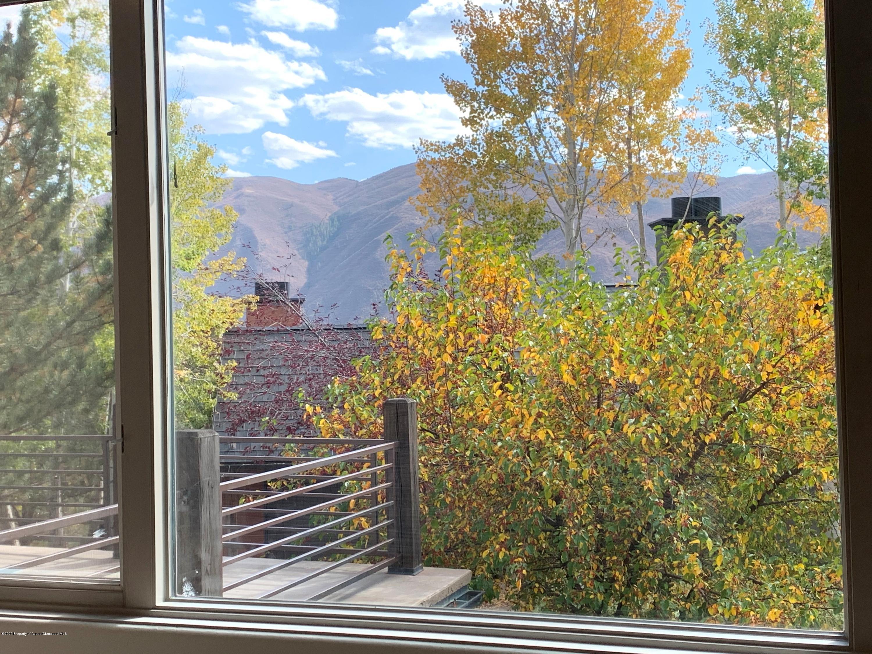 207 Wild Spring Lane Basalt CO 81621