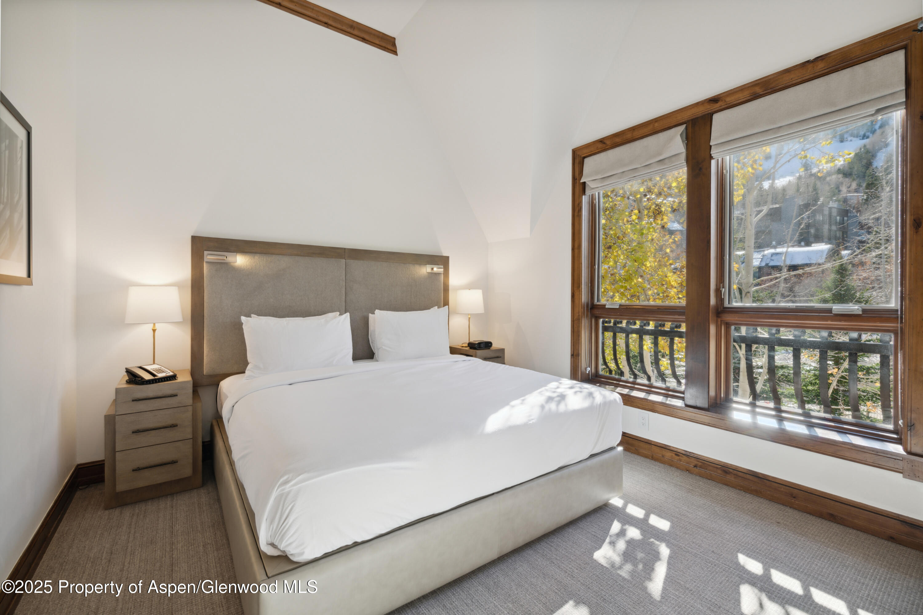 415 E Dean Street Aspen CO 81611