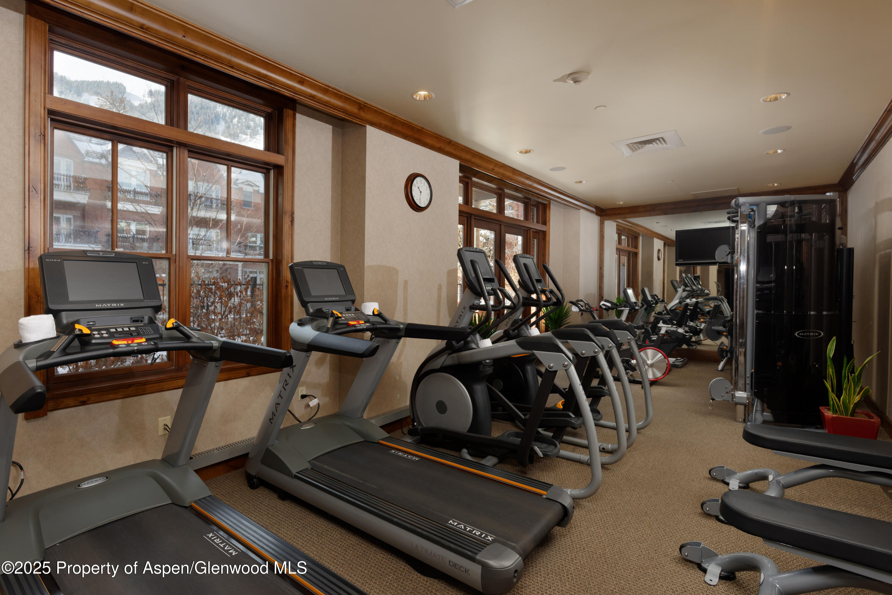 415 E Dean Street Aspen CO 81611