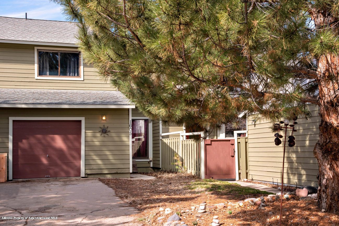 1605 Defiance Drive Carbondale CO 81623