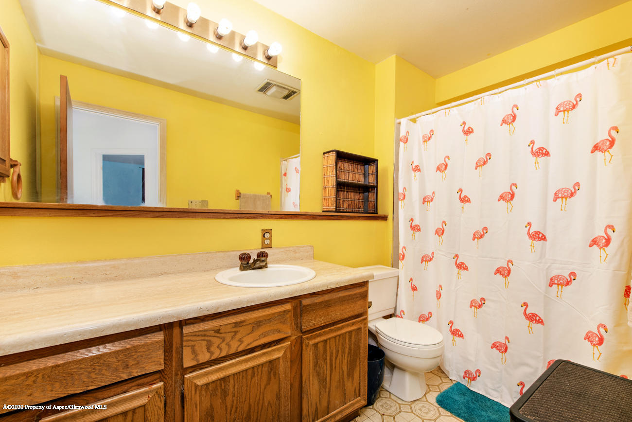1605 Defiance Drive Carbondale CO 81623