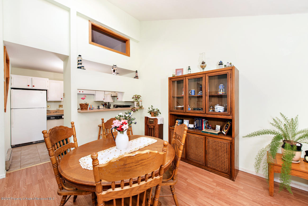 1605 Defiance Drive Carbondale CO 81623