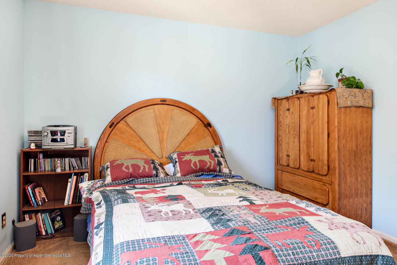 1605 Defiance Drive Carbondale CO 81623