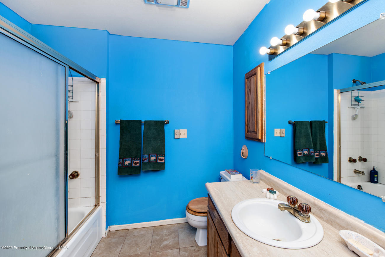 1605 Defiance Drive Carbondale CO 81623