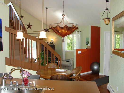 8202 Elk Lane Basalt CO 81621