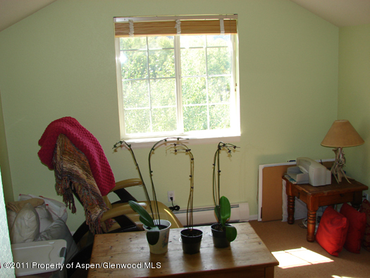 8202 Elk Lane Basalt CO 81621