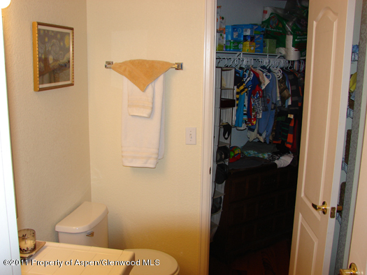 8202 Elk Lane Basalt CO 81621