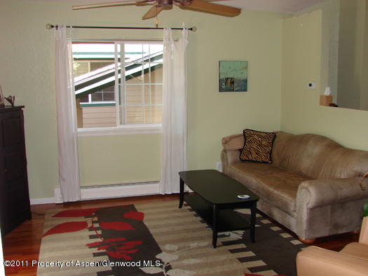 8202 Elk Lane Basalt CO 81621