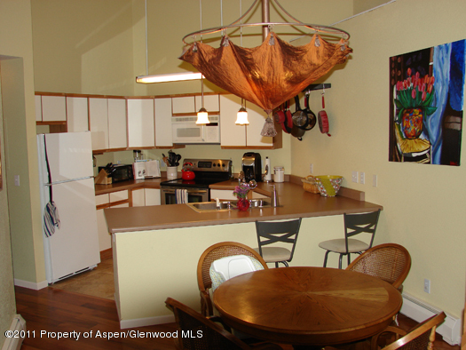 8202 Elk Lane Basalt CO 81621