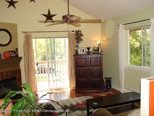 8202 Elk Lane Basalt CO 81621