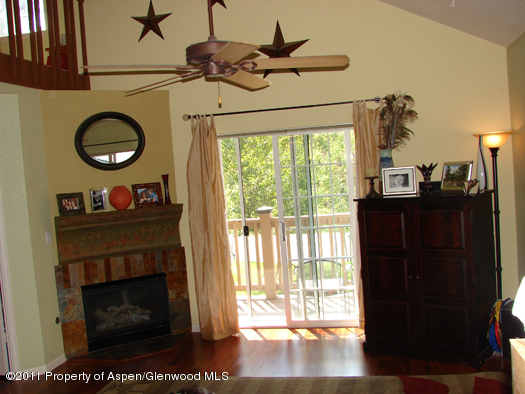 8202 Elk Lane Basalt CO 81621