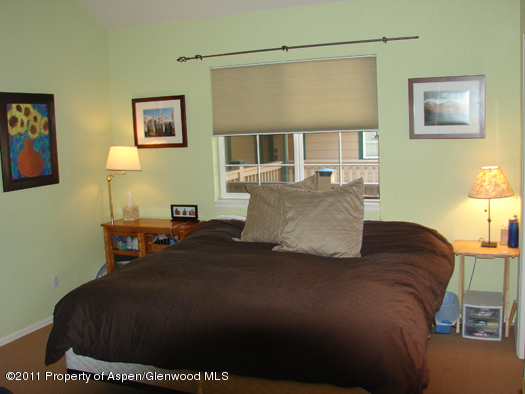 8202 Elk Lane Basalt CO 81621
