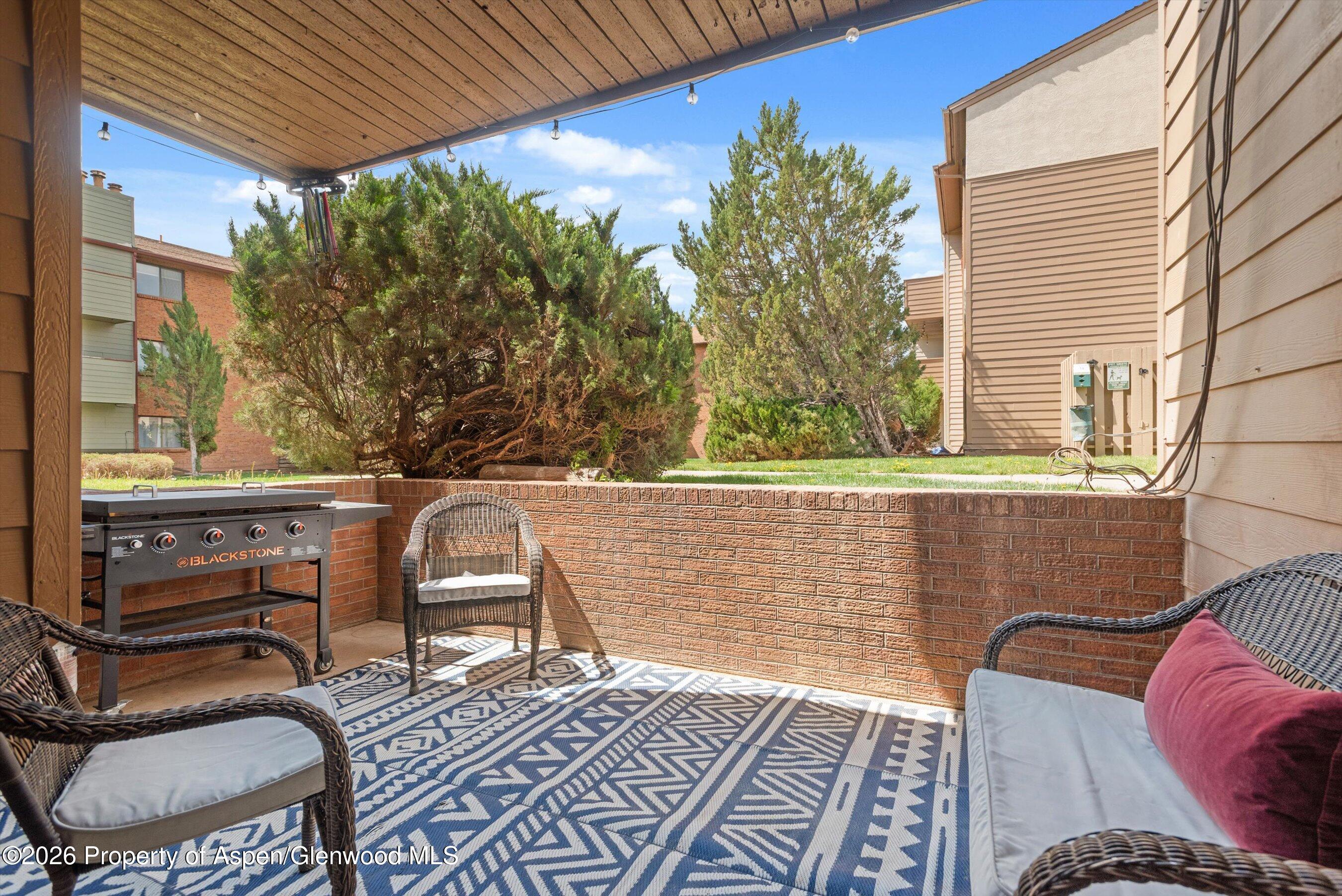 86 Roaring Fork Avenue Carbondale CO 81623