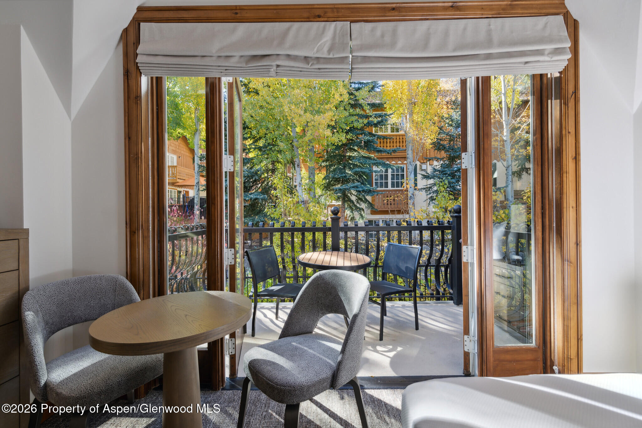 415 E Dean St, Unit 42, Wks 26 & 27 Aspen CO 81611