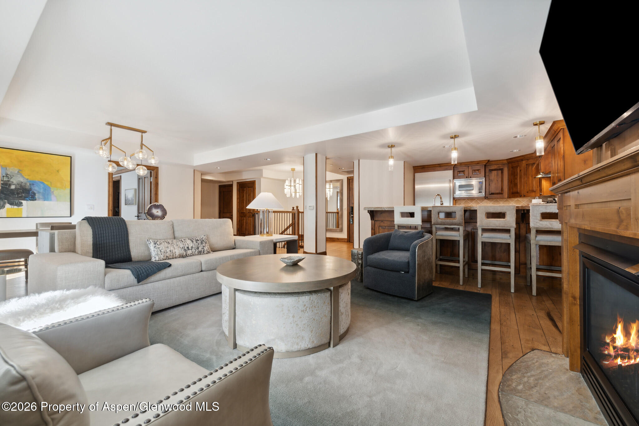 415 E Dean St, Unit 42, Wks 26 & 27 Aspen CO 81611