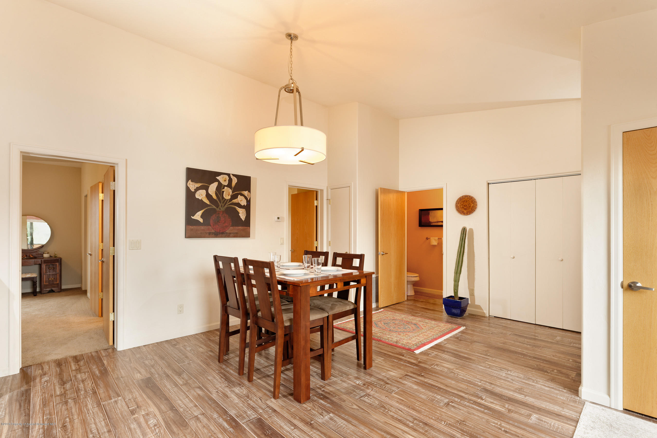 1133 Main Street Carbondale CO 81623