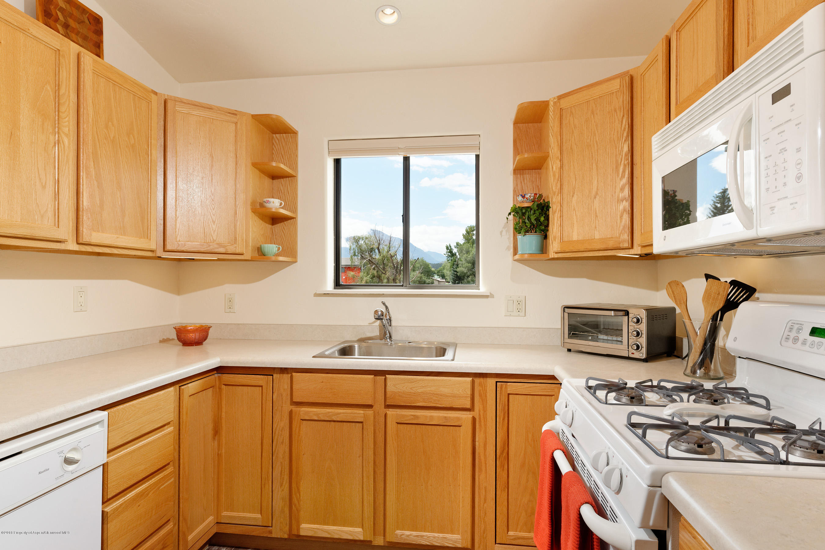 1133 Main Street Carbondale CO 81623