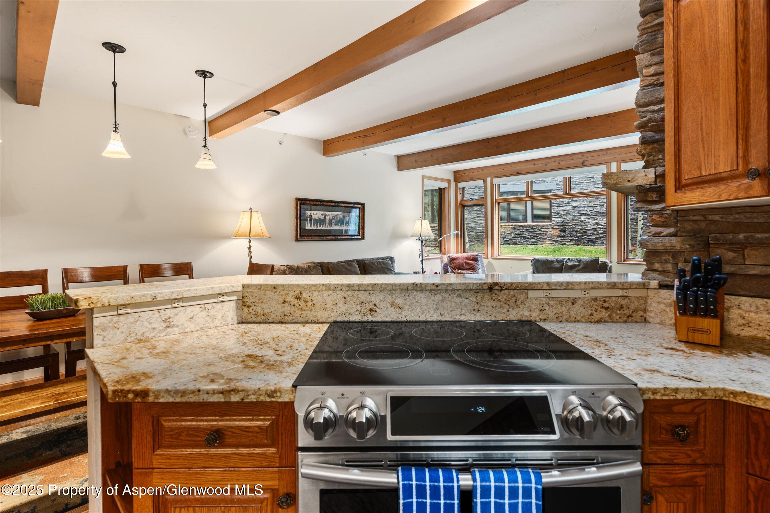 600 Carriage Way Snowmass Village CO 81615