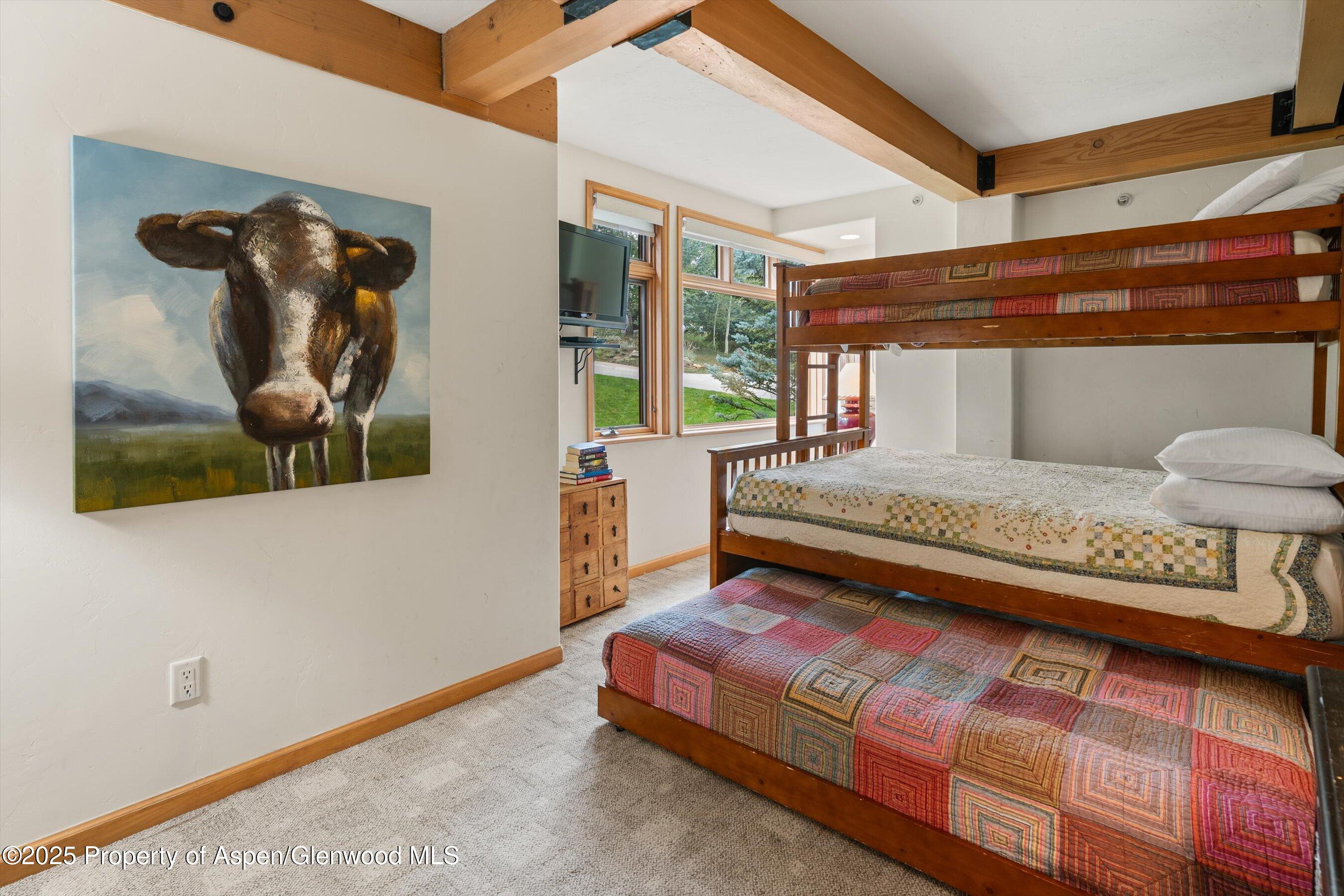 600 Carriage Way Snowmass Village CO 81615