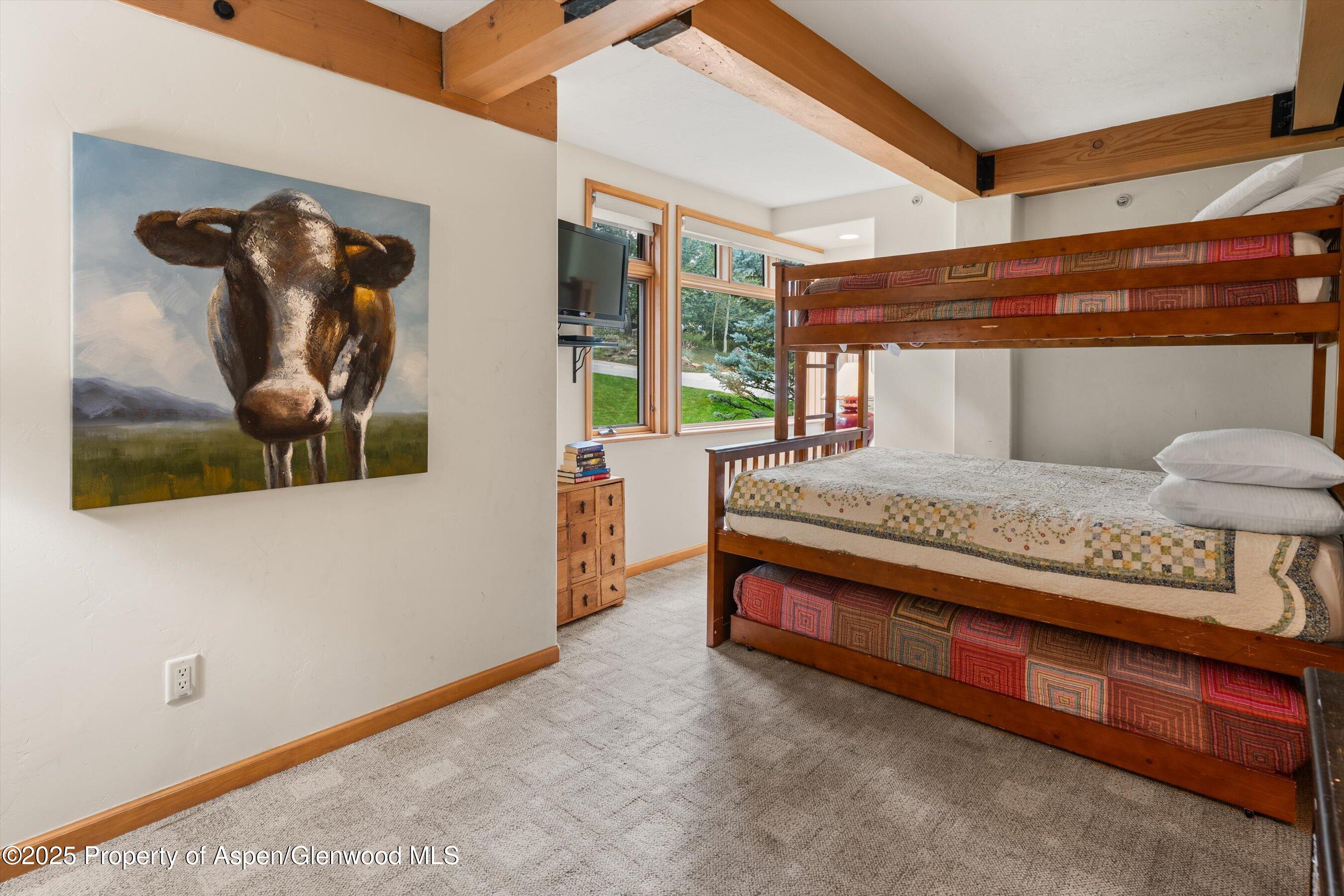 600 Carriage Way Snowmass Village CO 81615