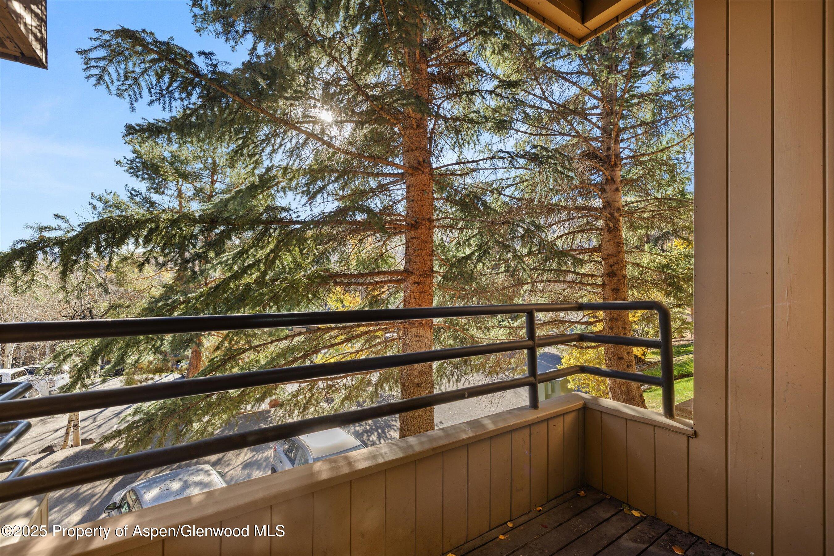 35 Lower Woodbridge Road Snowmass Village CO 81615