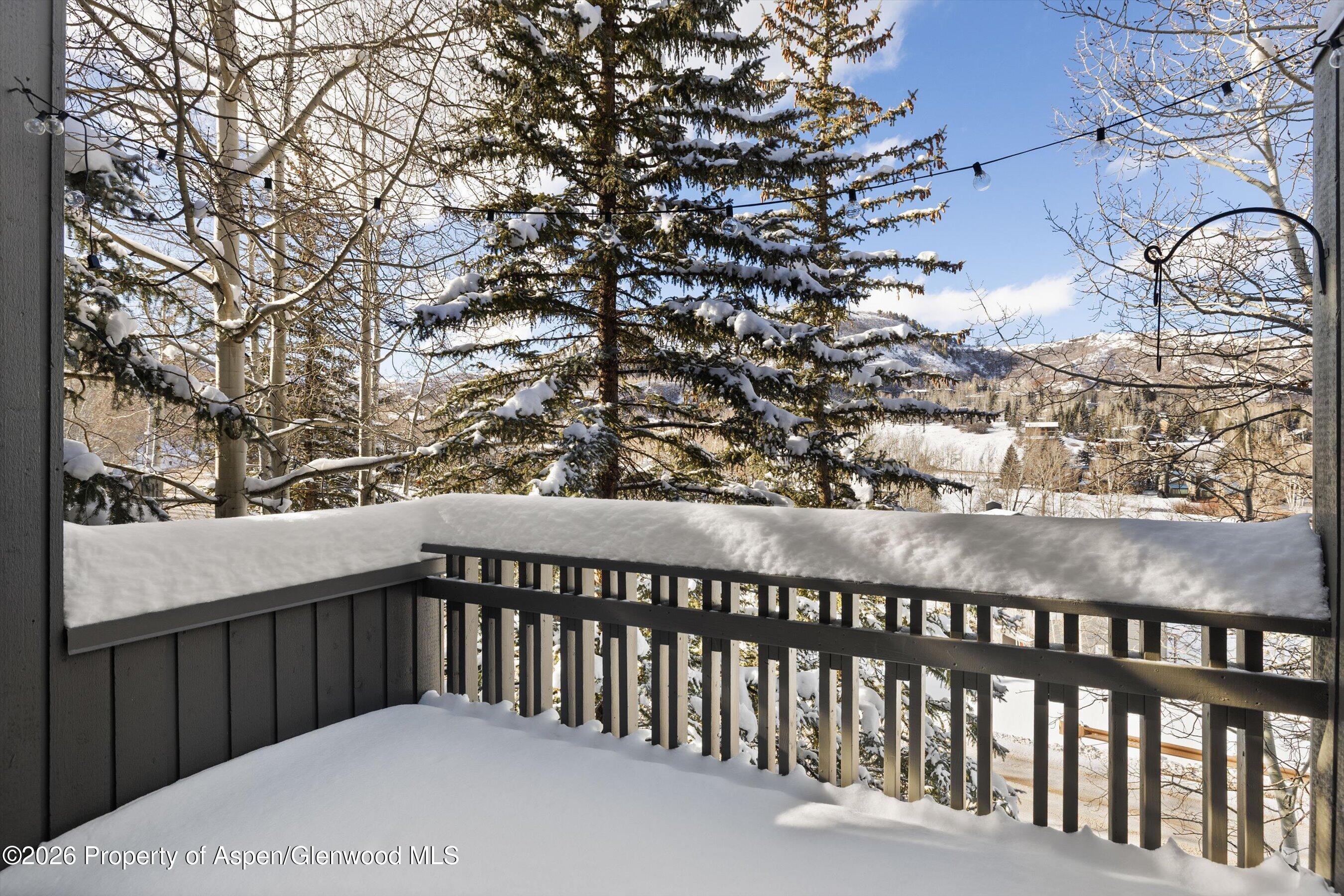 221 Meadow Ranch Road Snowmass Village CO 81615