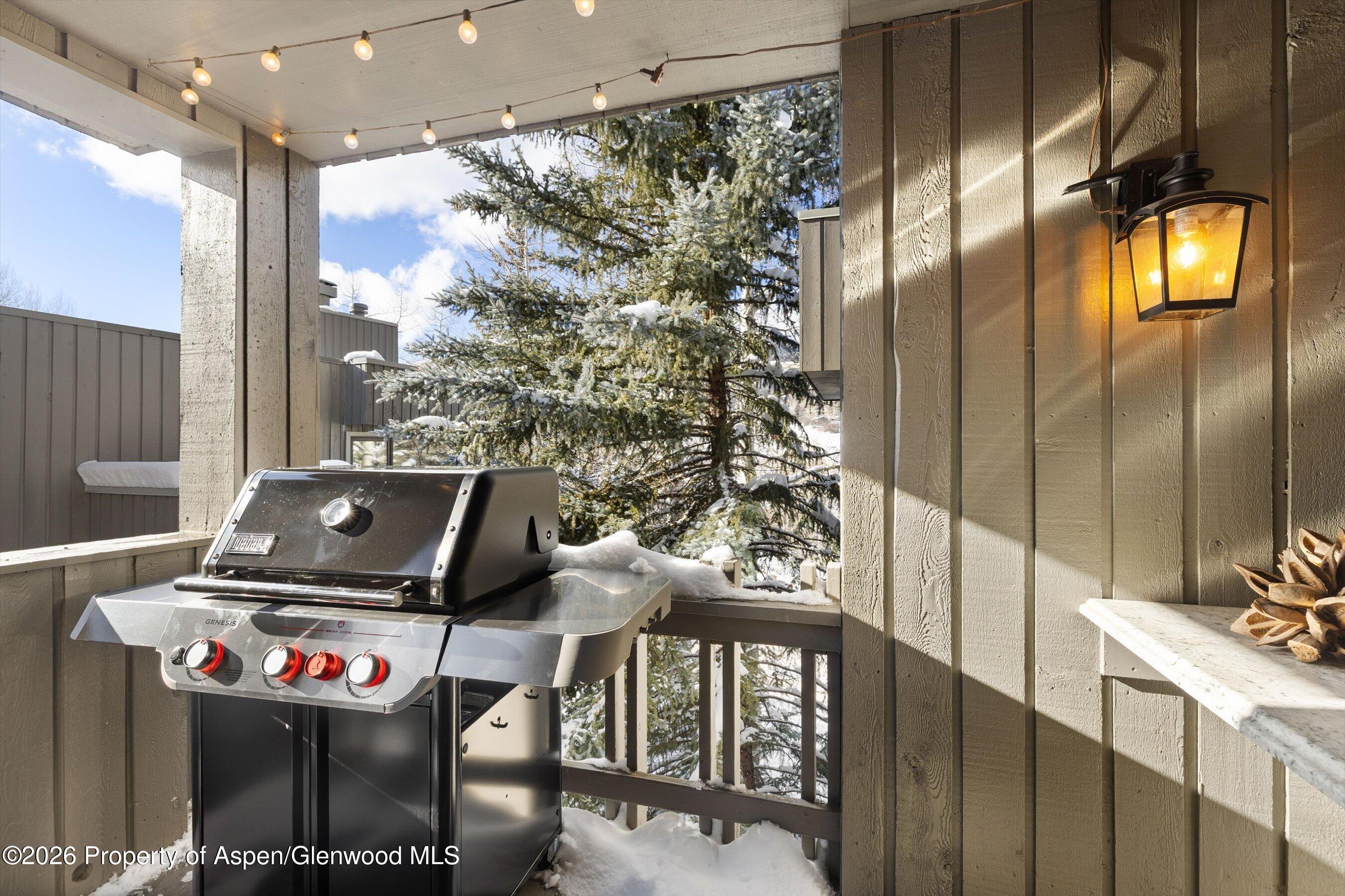 221 Meadow Ranch Road Snowmass Village CO 81615