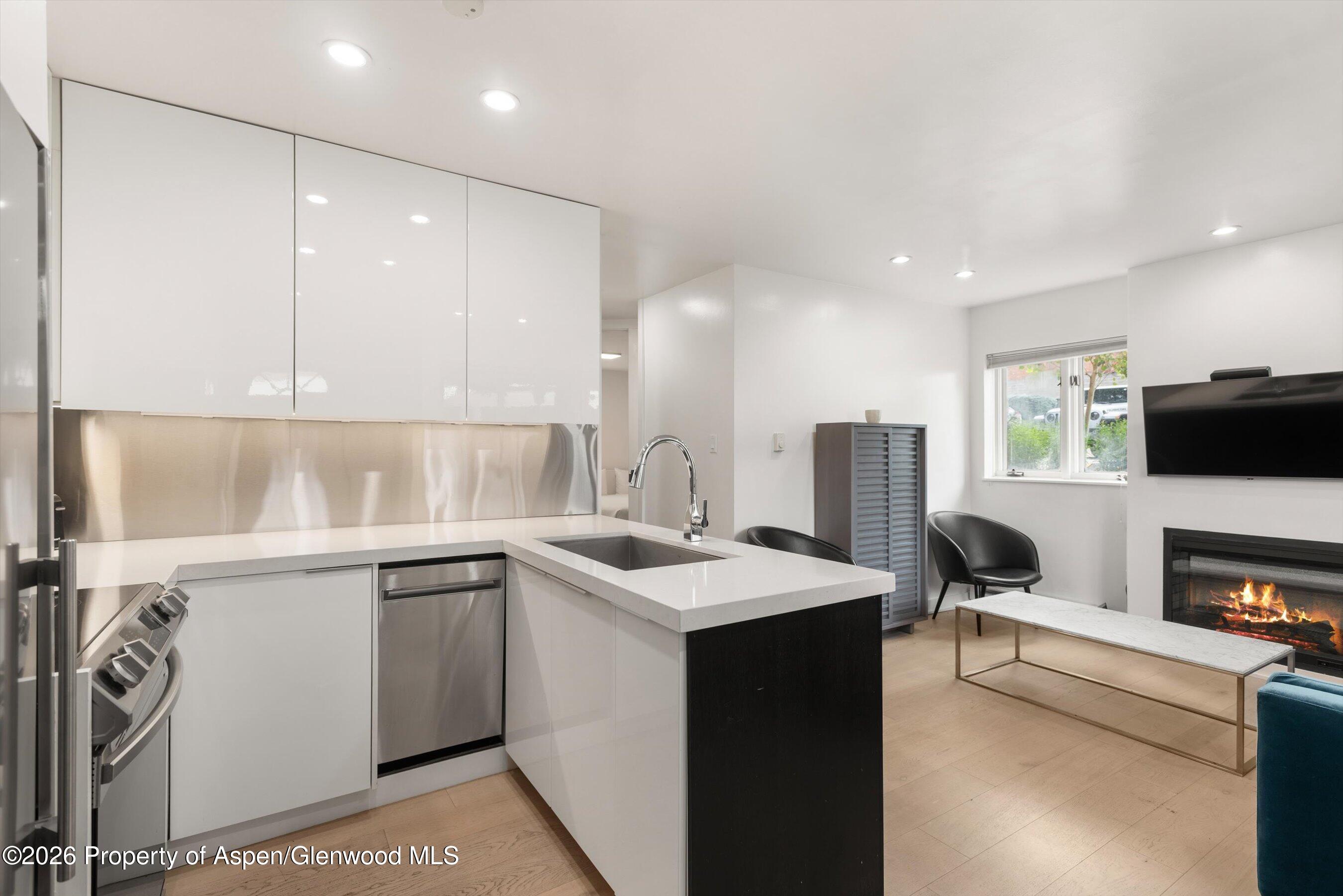 805 E Cooper Avenue Aspen CO 81611