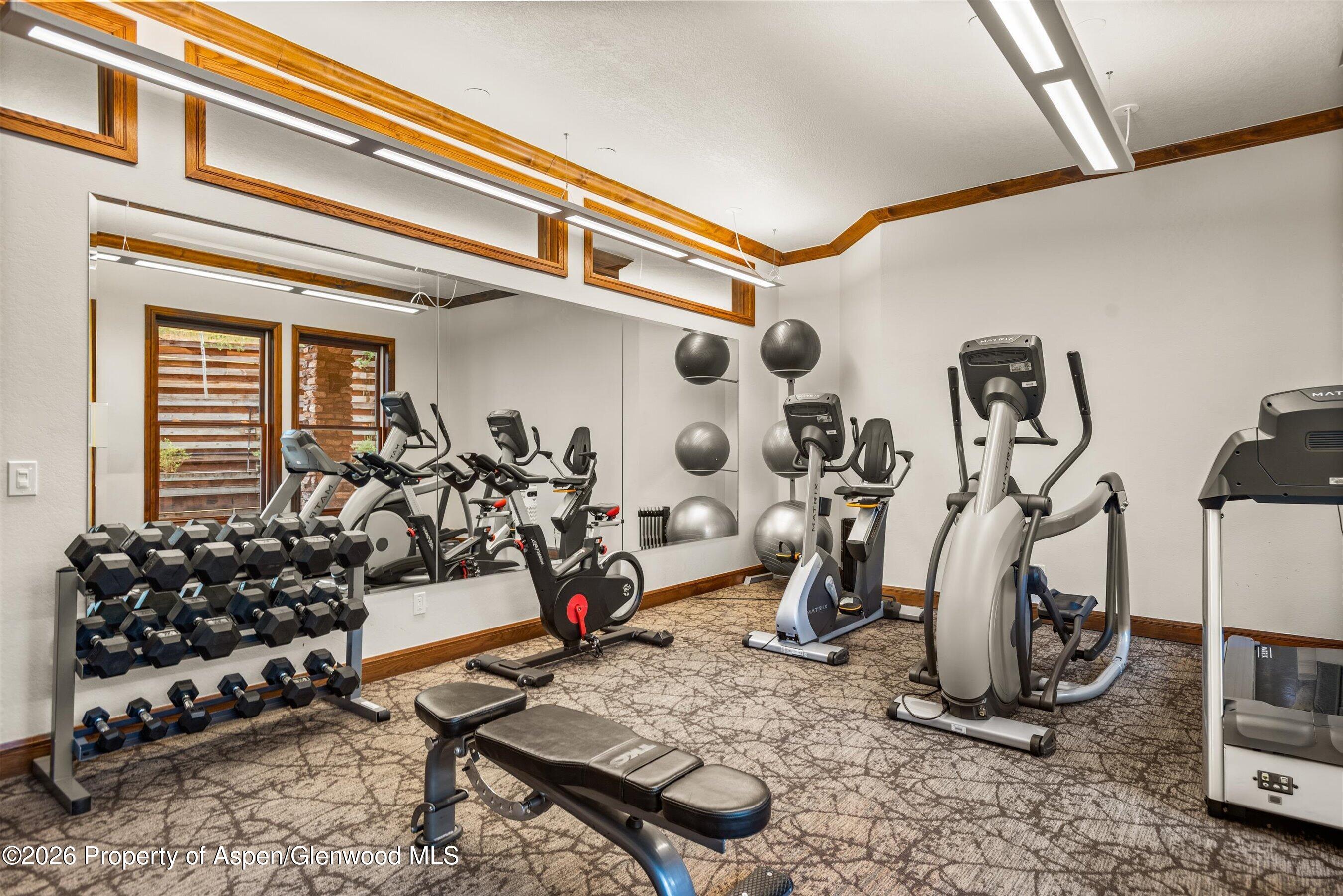 425 Wood Road Snowmass Village CO 81615