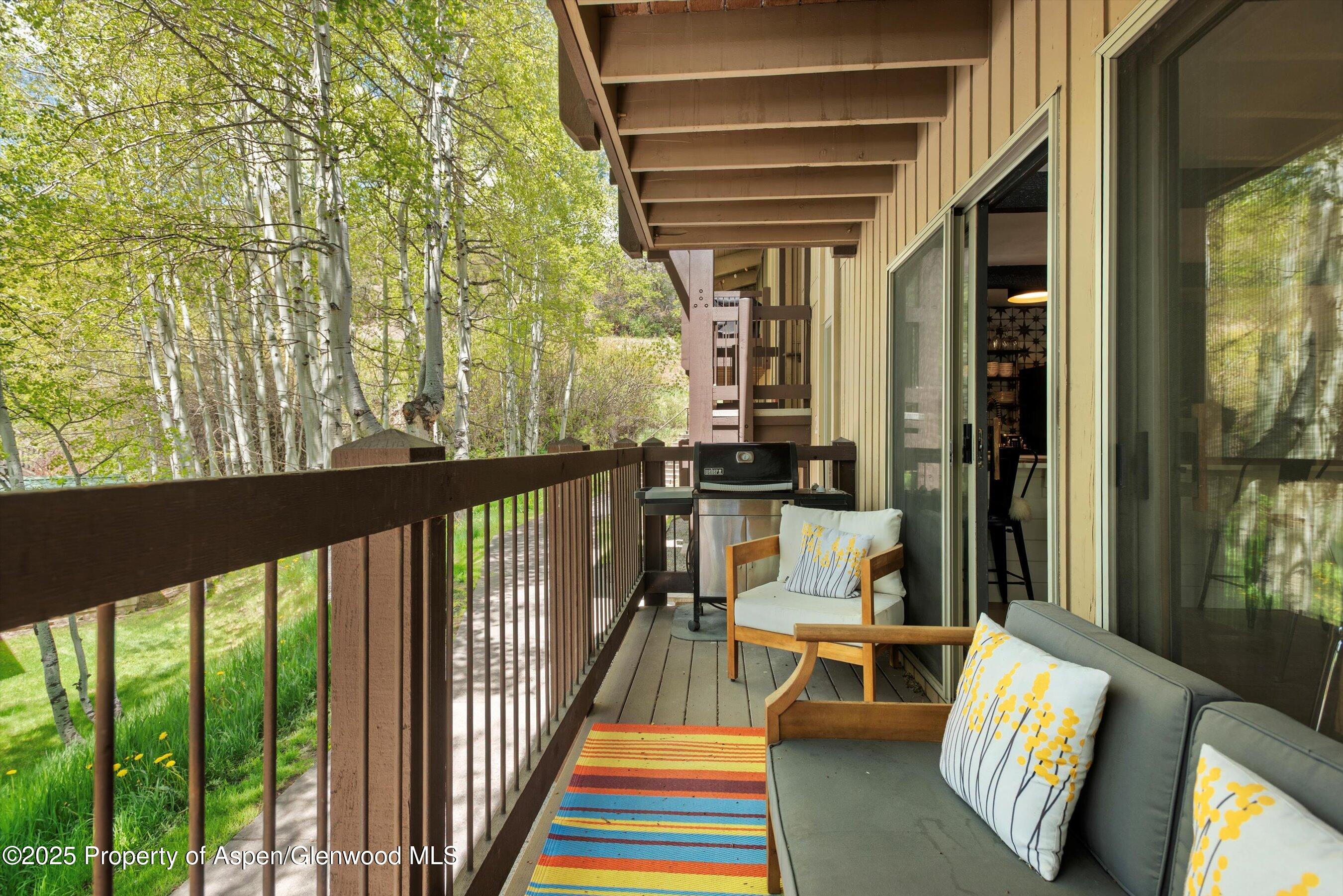 35 Upper Woodbridge Road Snowmass Village CO 81615