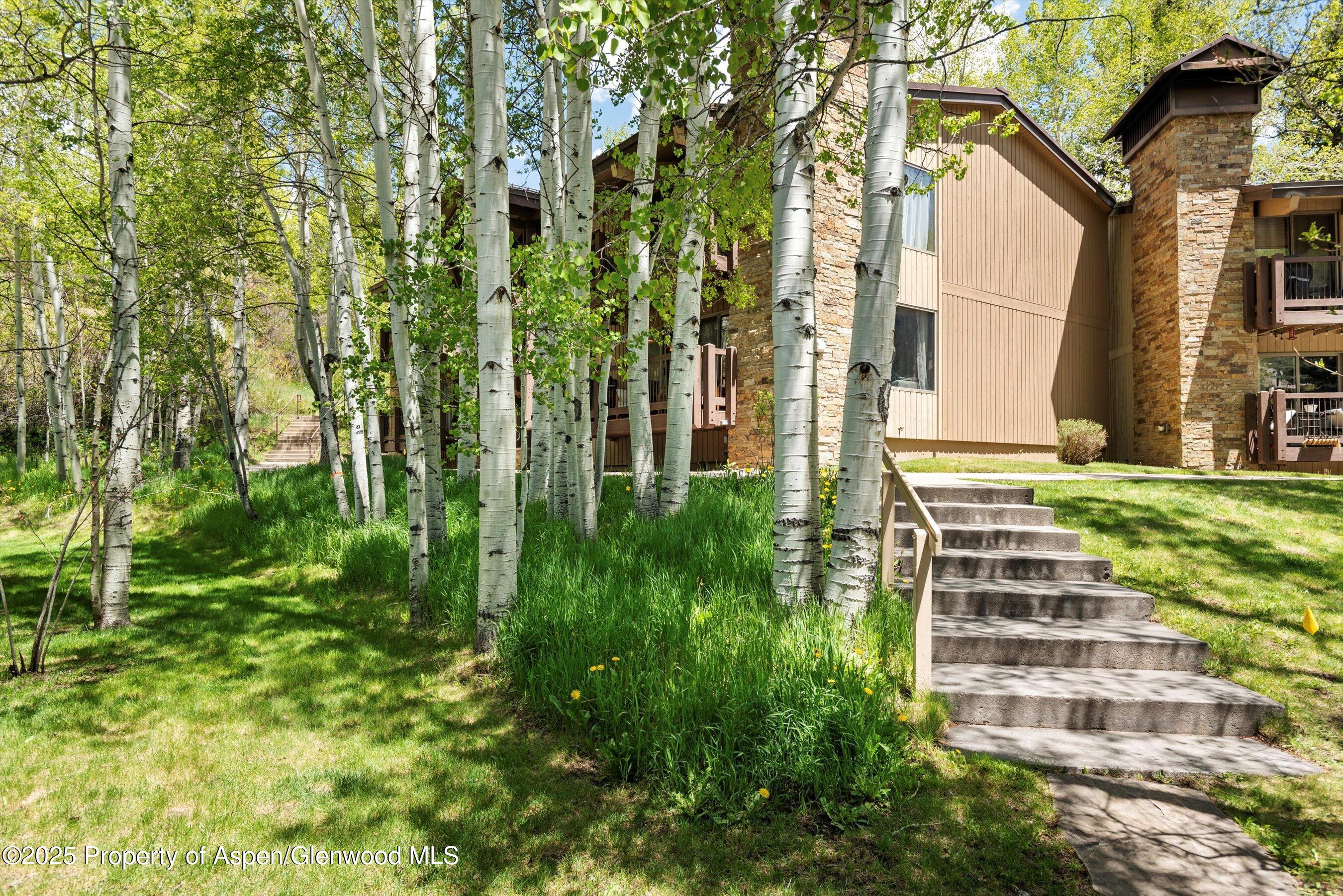 35 Upper Woodbridge Road Snowmass Village CO 81615