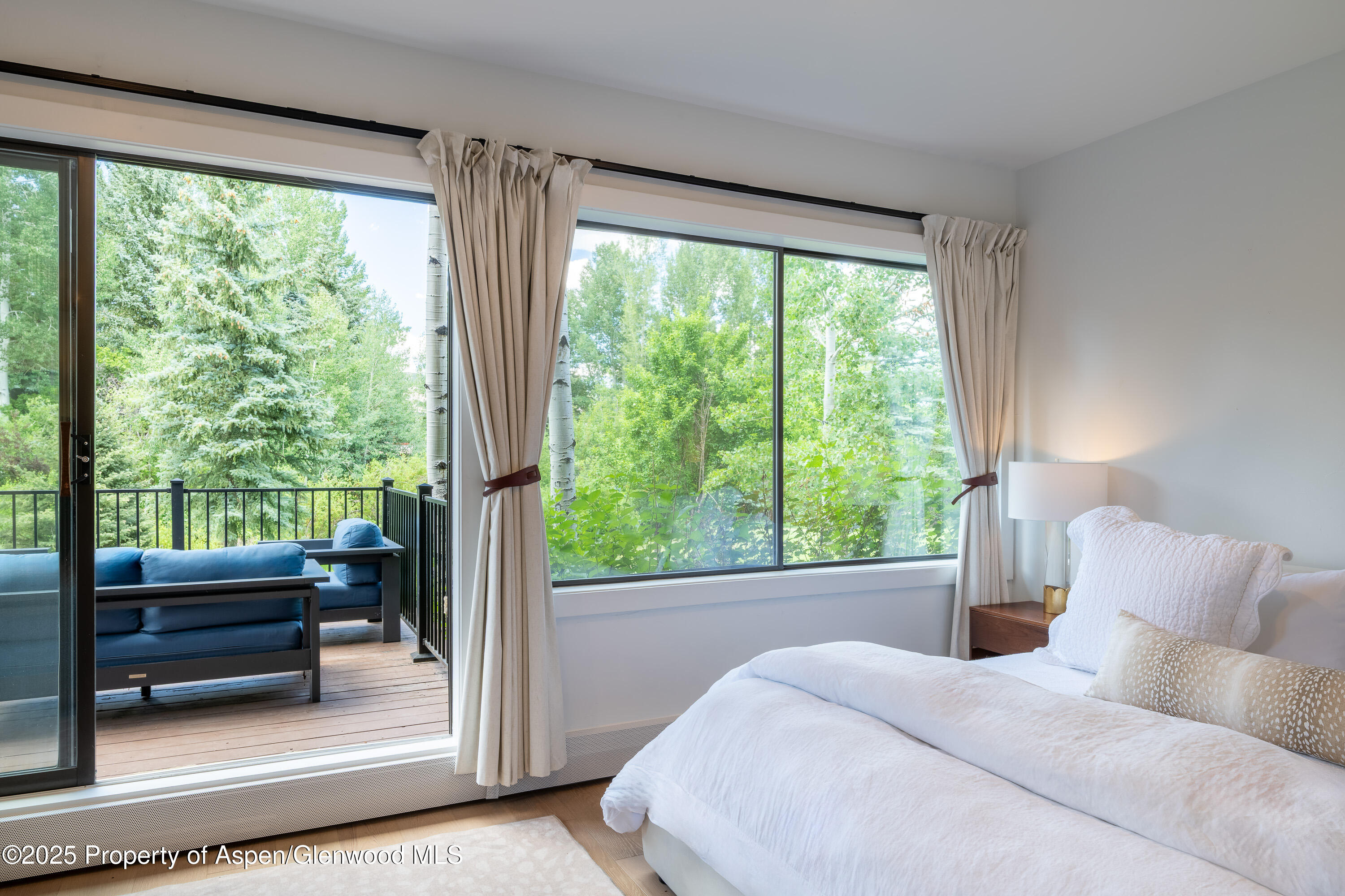 65 Harleston Green Snowmass Village CO 81615