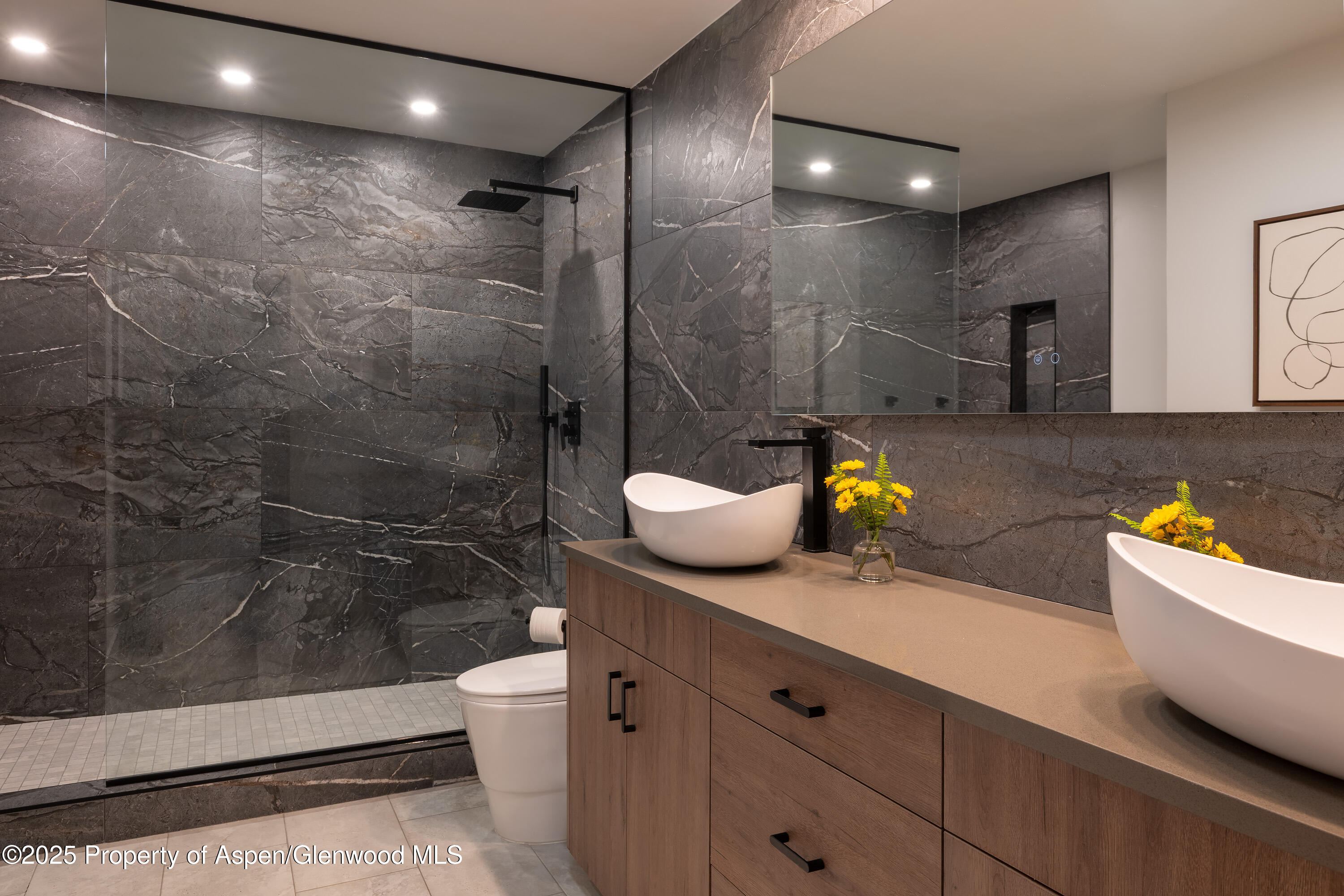 65 Harleston Green Snowmass Village CO 81615