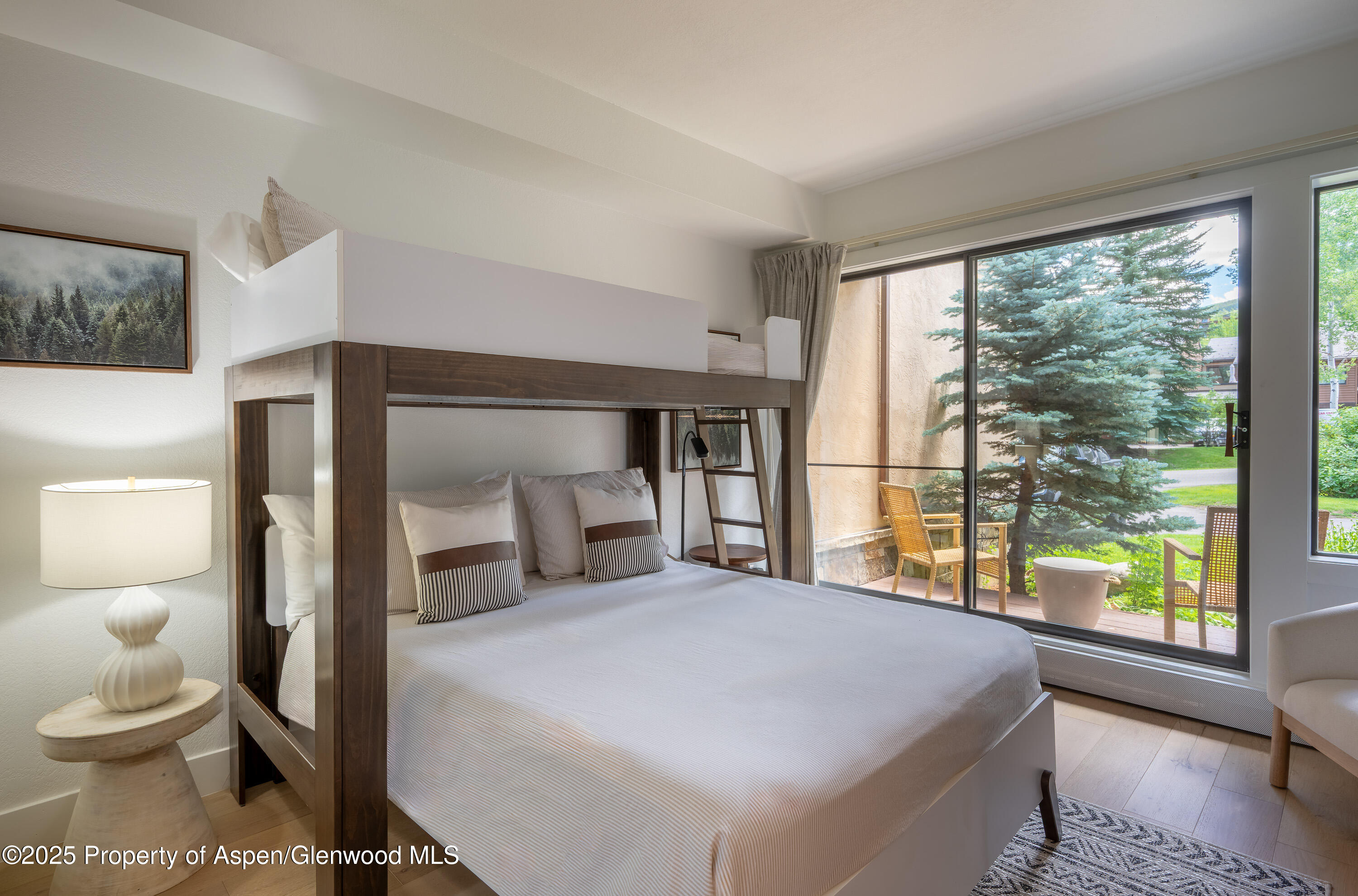 65 Harleston Green Snowmass Village CO 81615