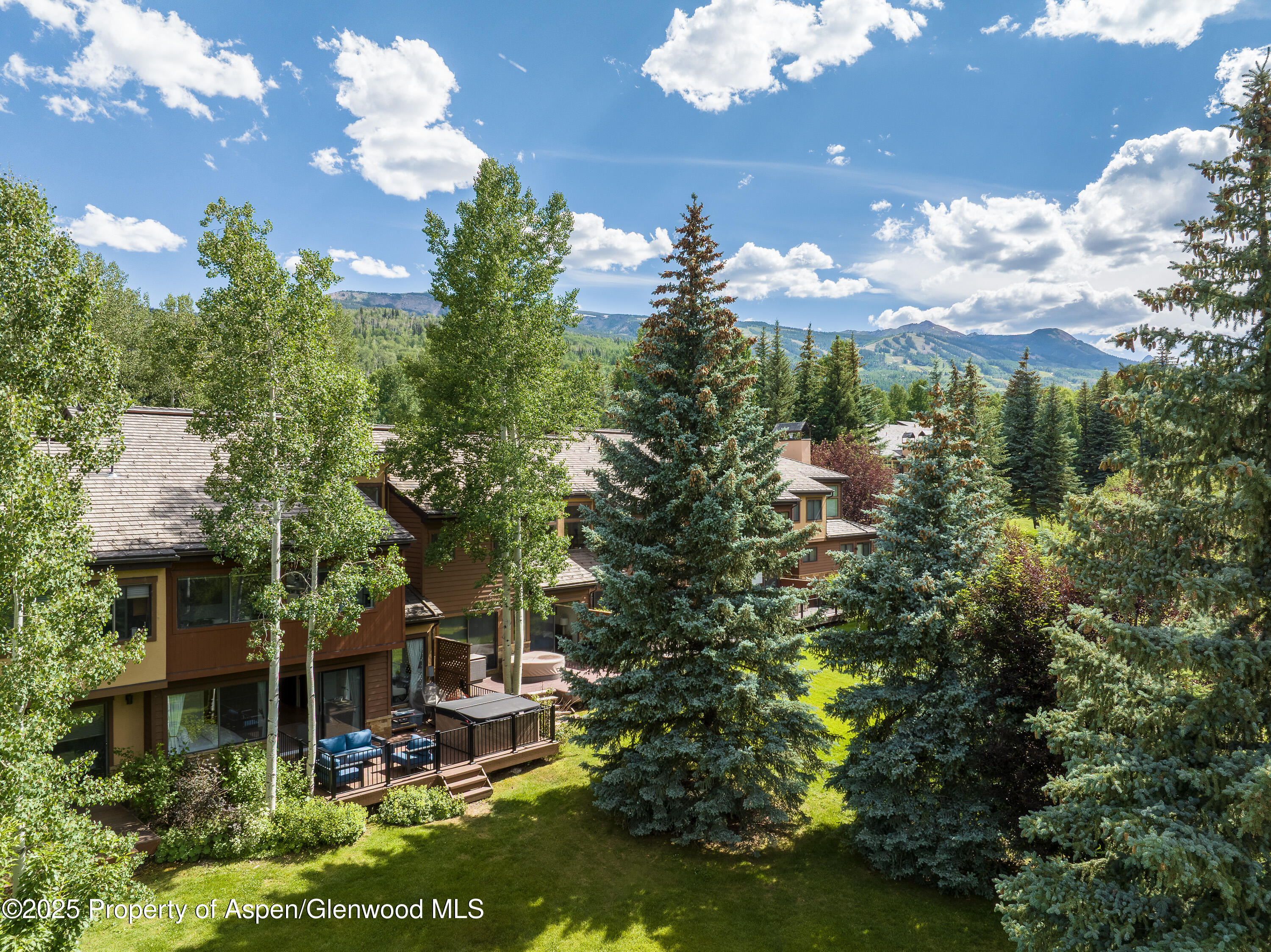 65 Harleston Green Snowmass Village CO 81615