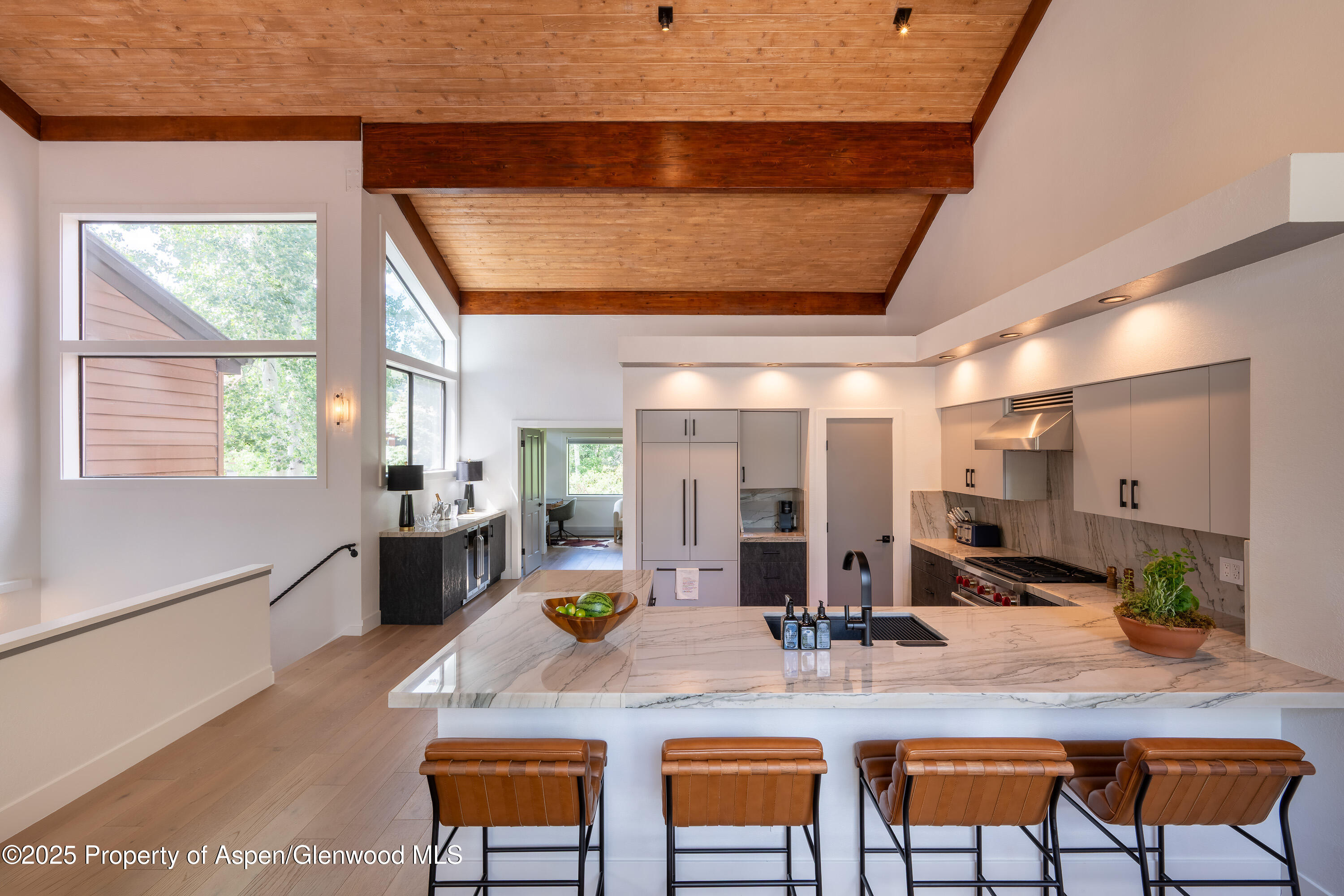 65 Harleston Green Snowmass Village CO 81615