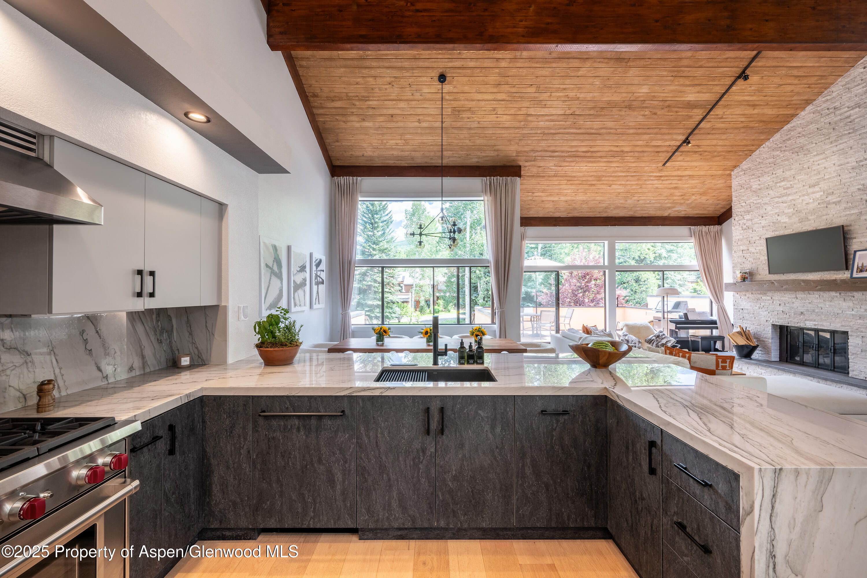 65 Harleston Green Snowmass Village CO 81615