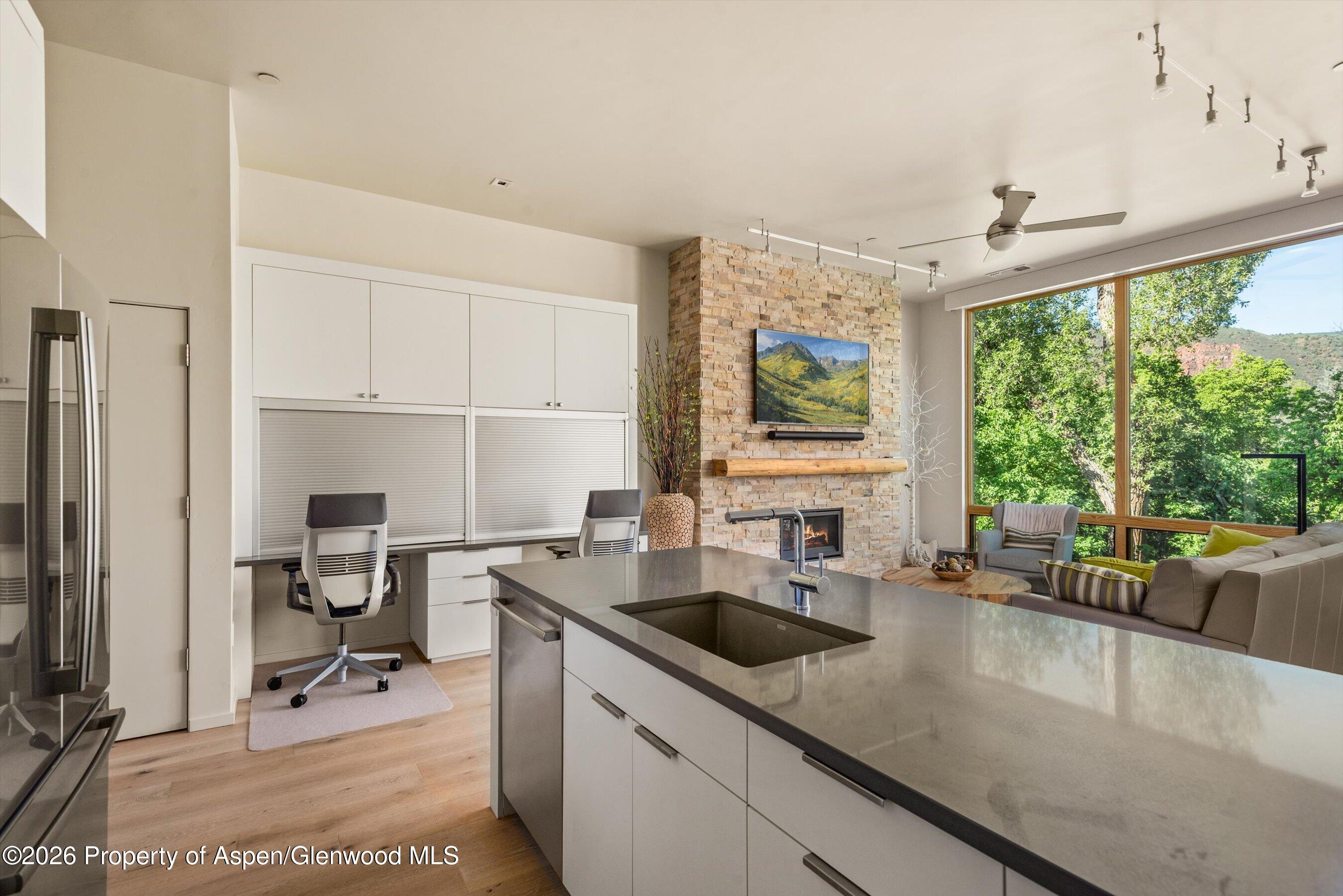 101 Willits Way Basalt CO 81621