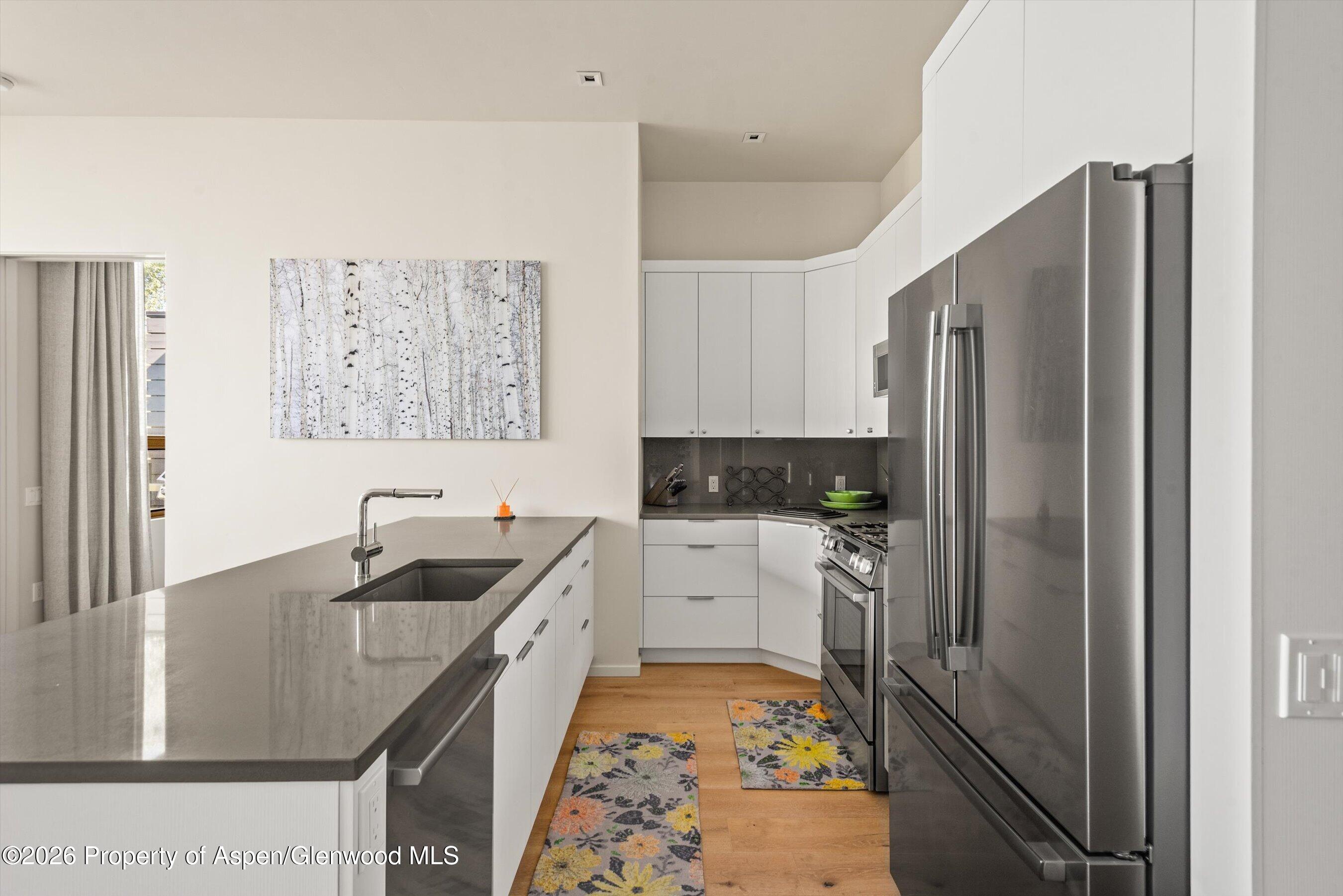 101 Willits Way Basalt CO 81621