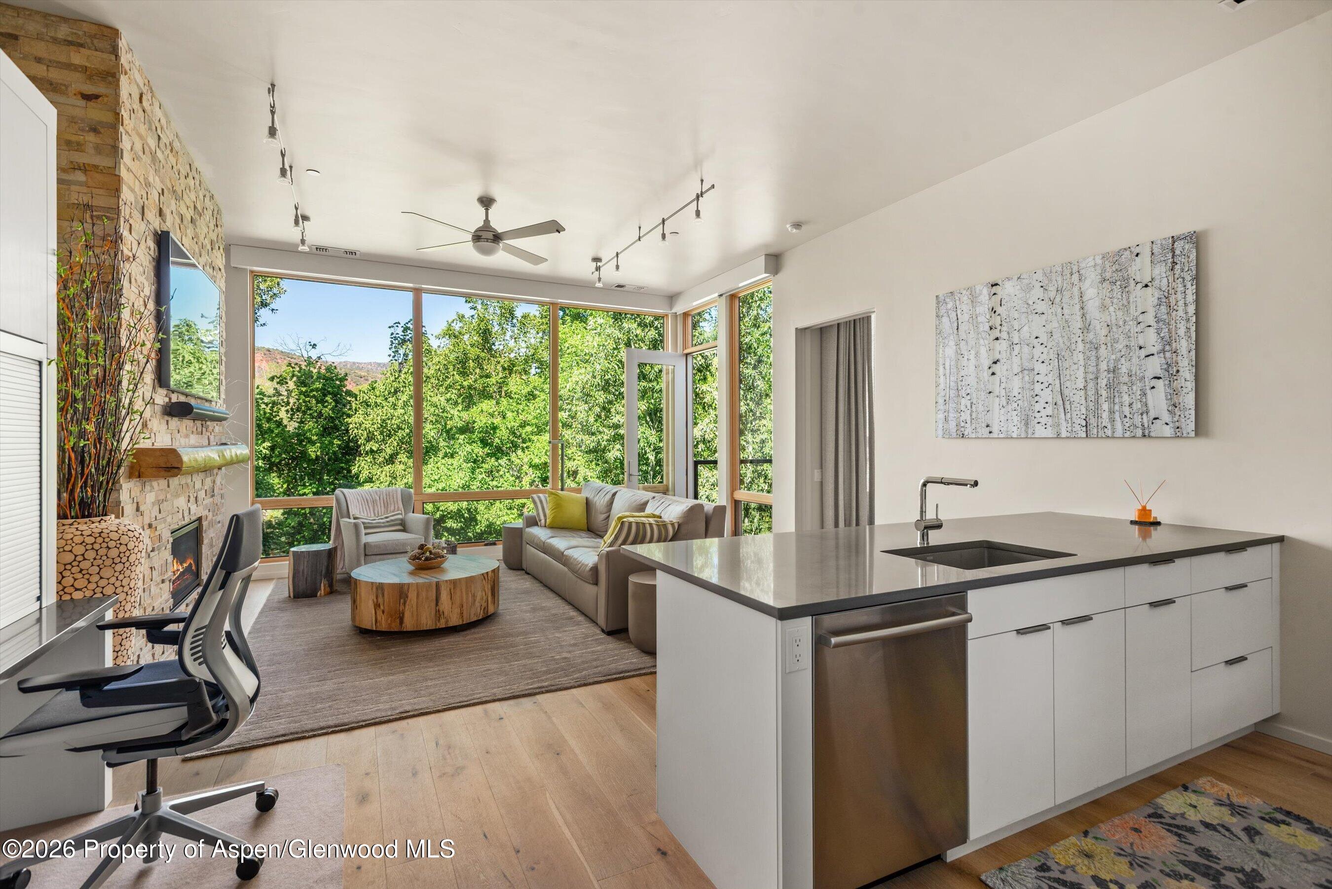 101 Willits Way Basalt CO 81621