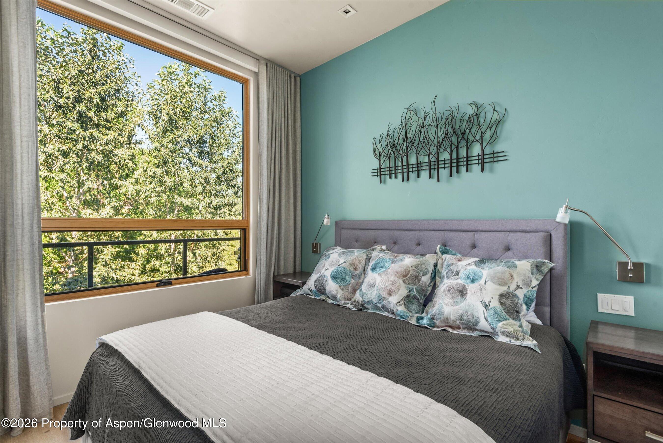 101 Willits Way Basalt CO 81621
