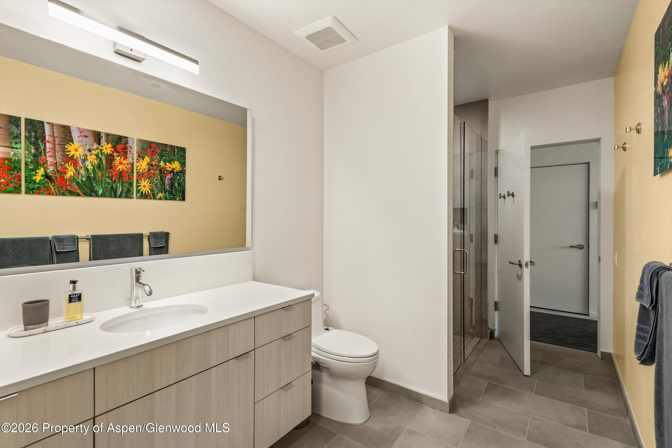 101 Willits Way Basalt CO 81621