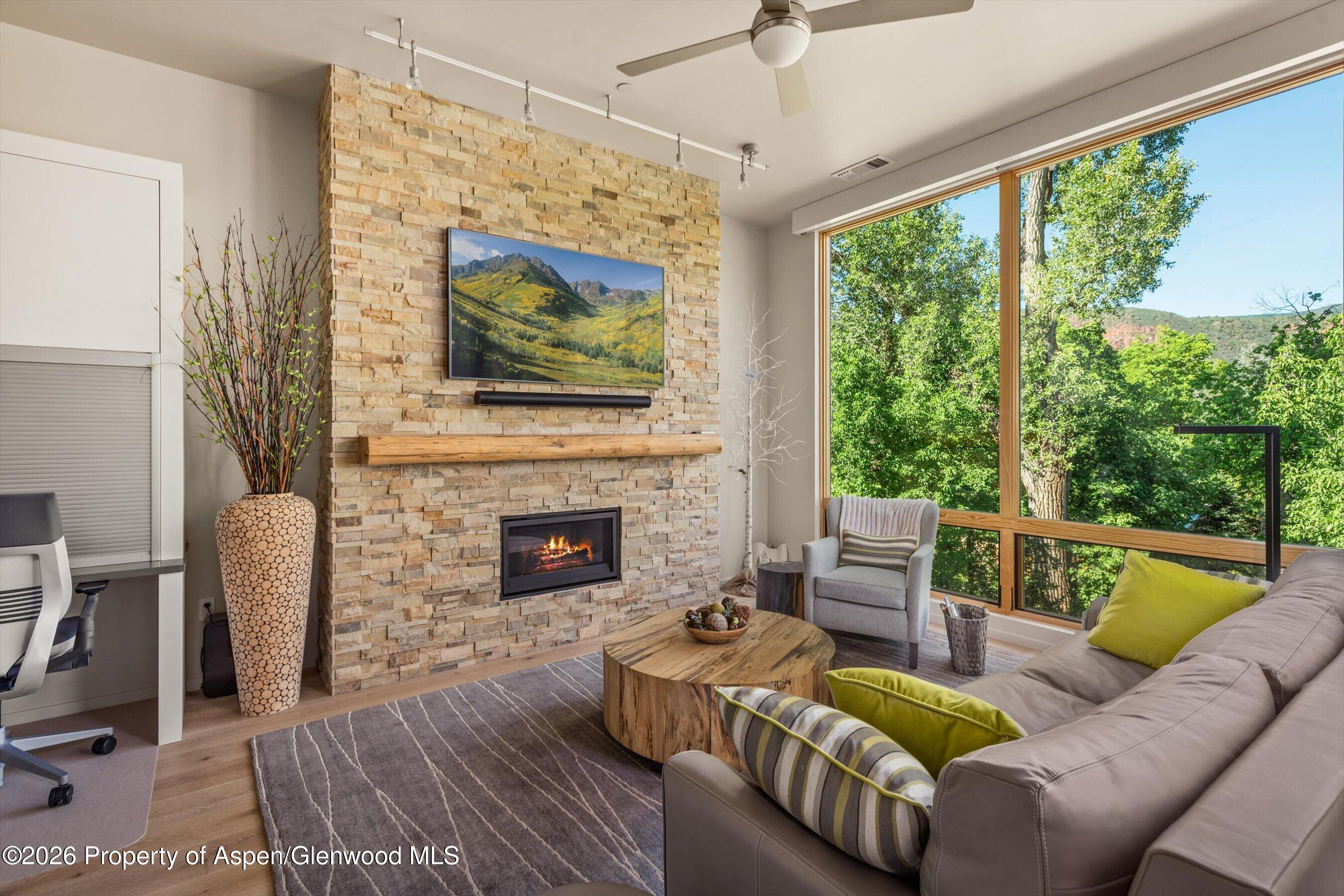 101 Willits Way Basalt CO 81621