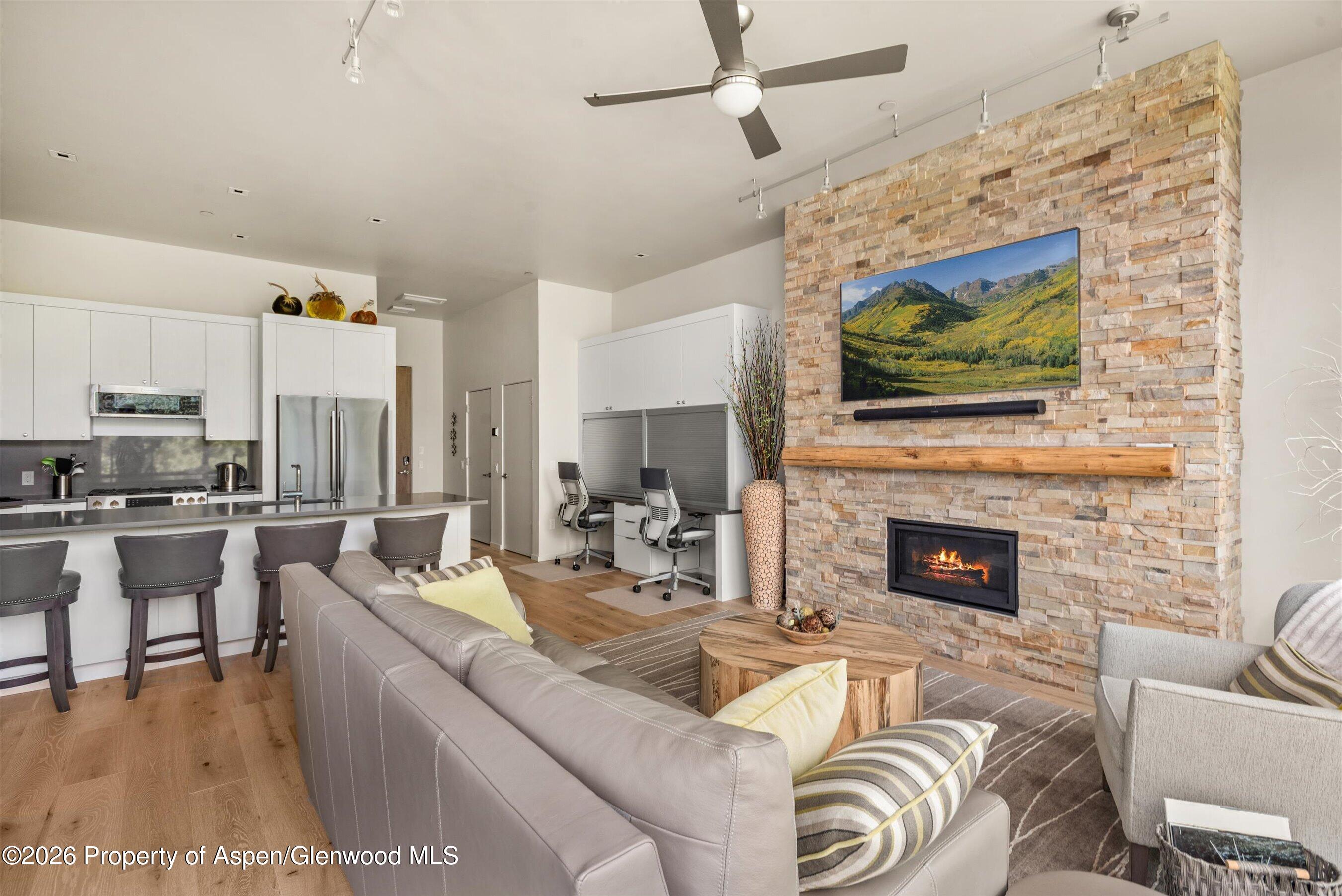 101 Willits Way Basalt CO 81621
