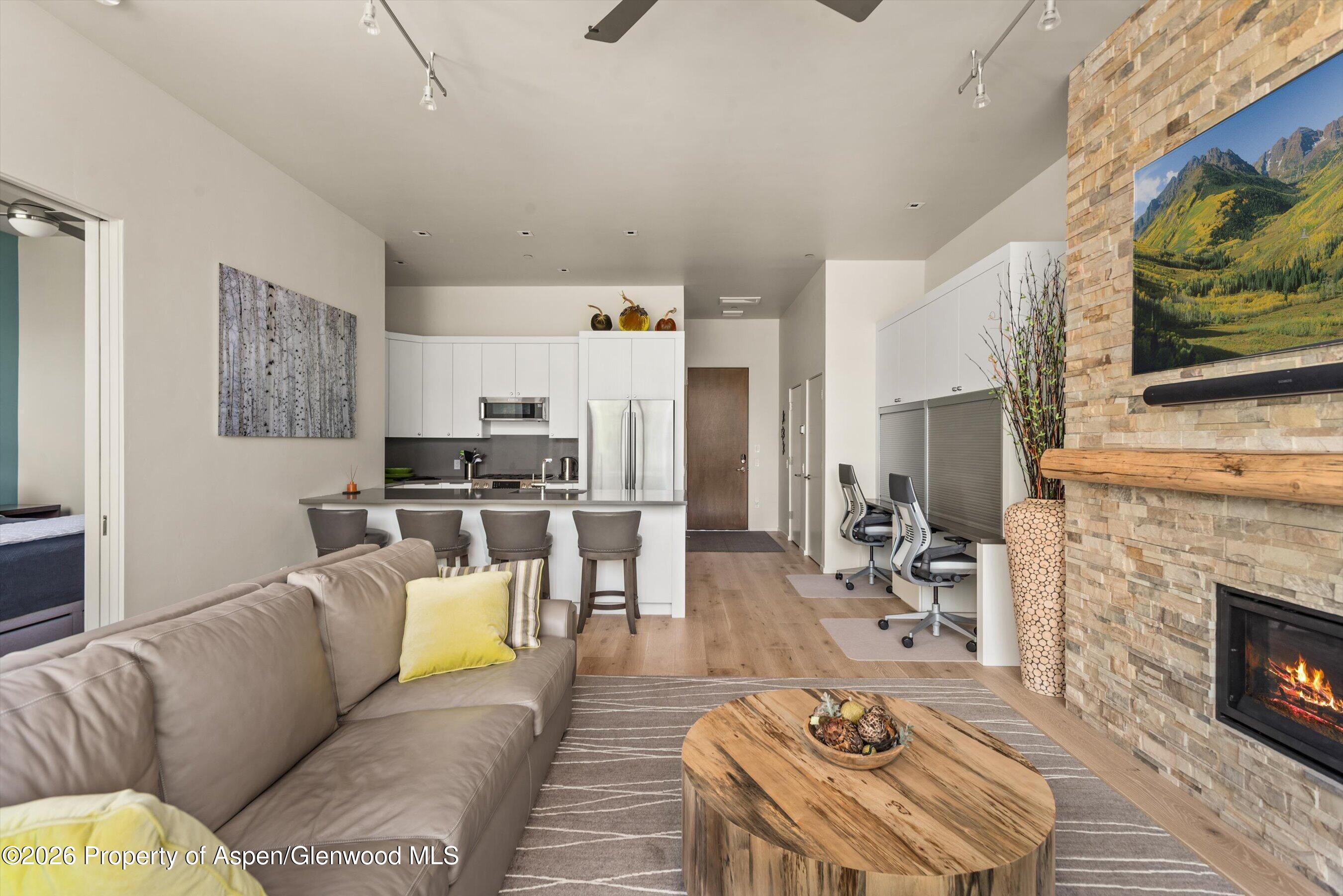 101 Willits Way Basalt CO 81621
