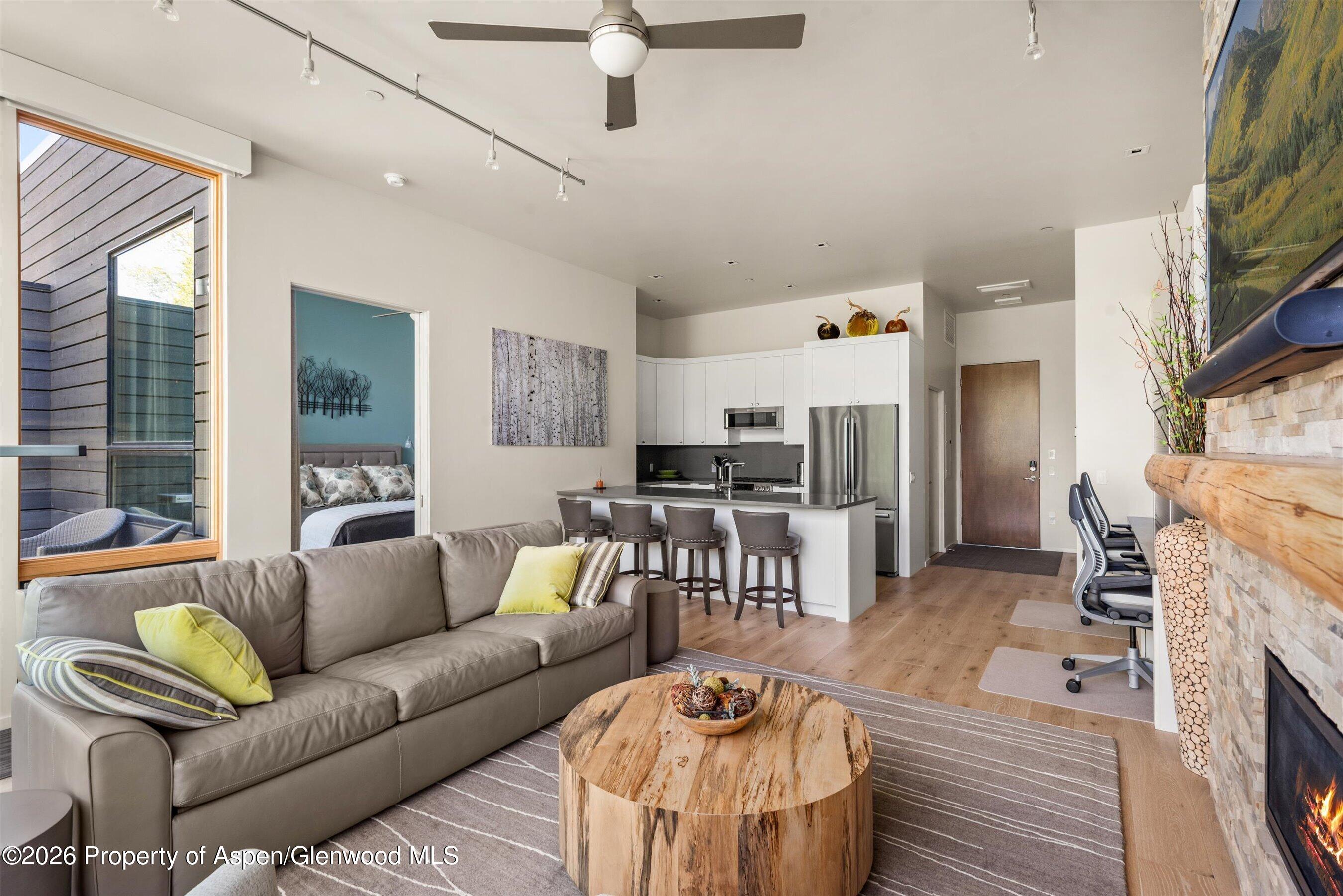 101 Willits Way Basalt CO 81621