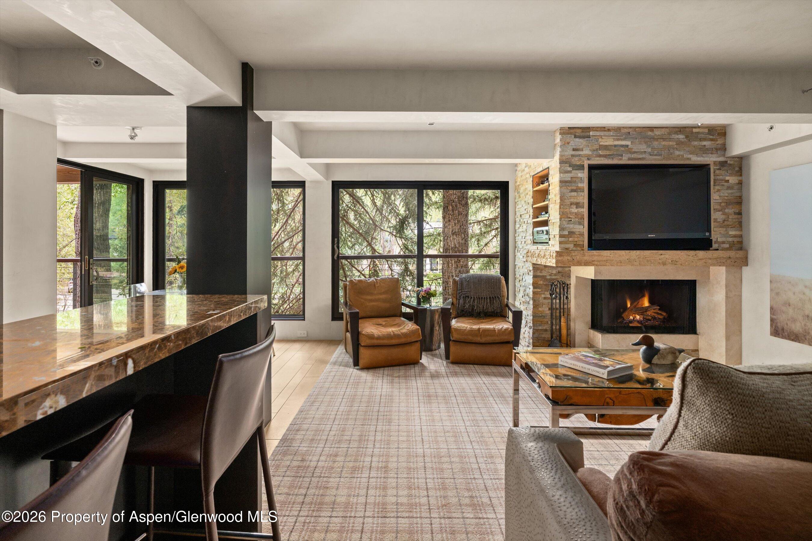 1034 E Cooper Avenue Aspen CO 81611