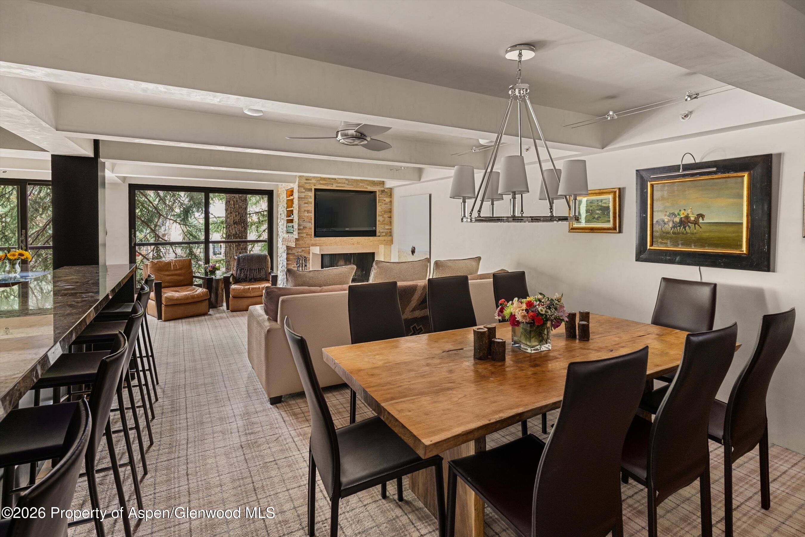 1034 E Cooper Avenue Aspen CO 81611
