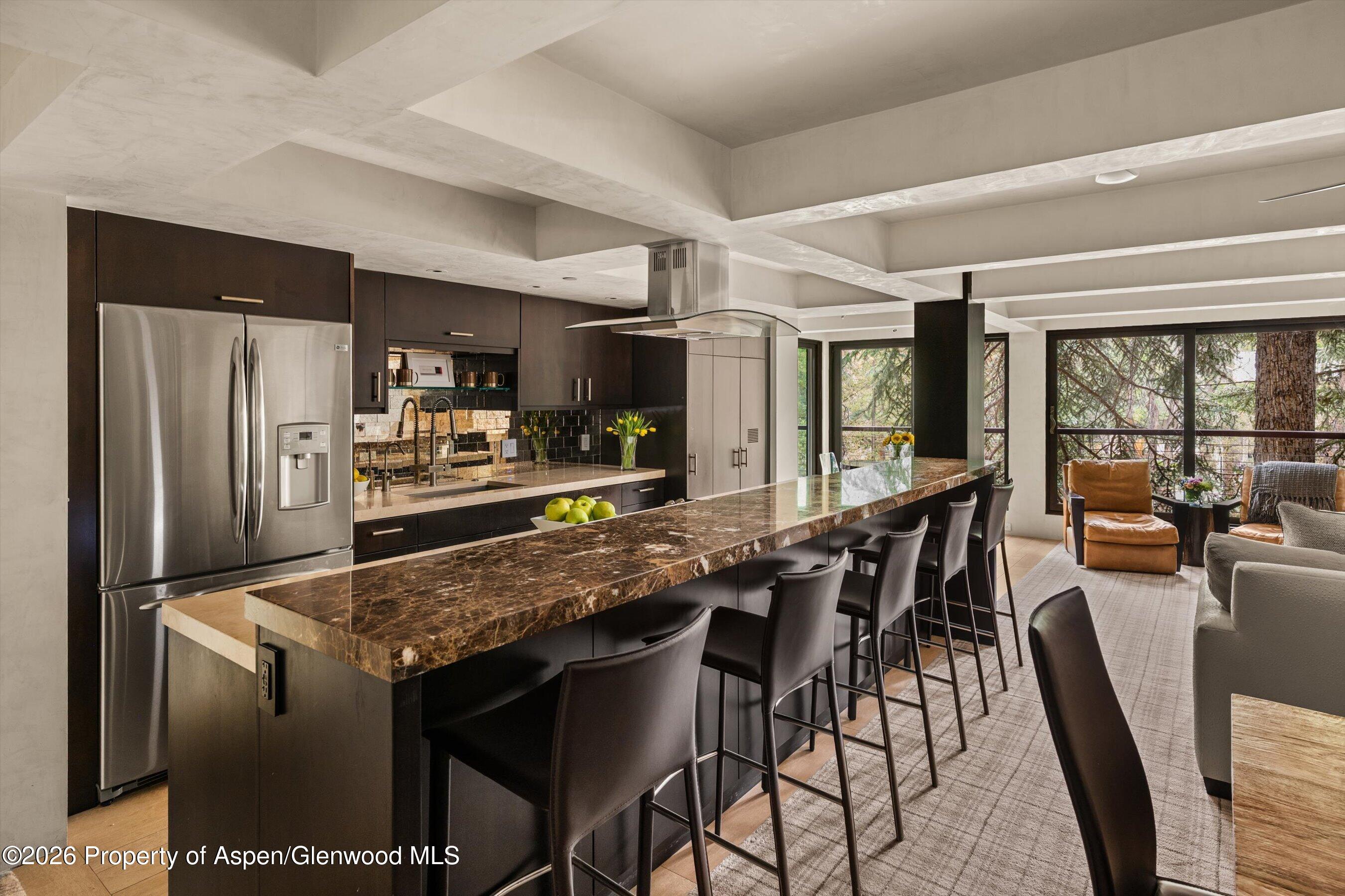 1034 E Cooper Avenue Aspen CO 81611